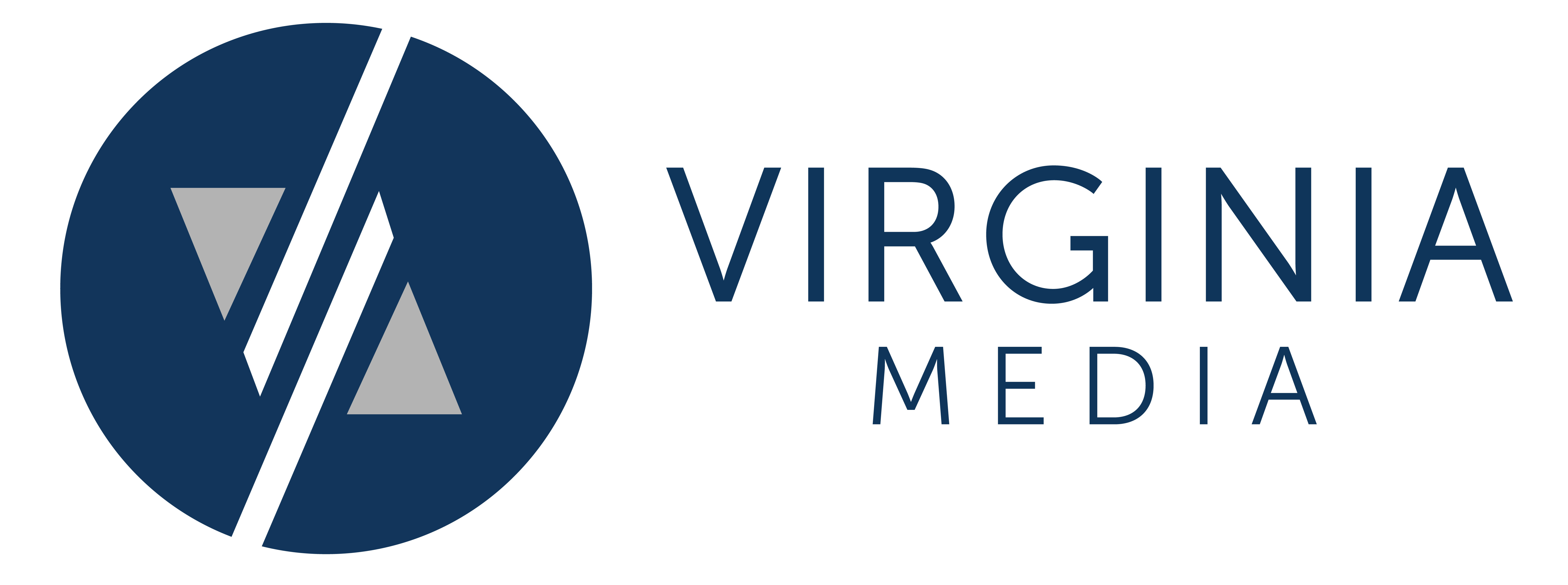 _VM_logo.png
